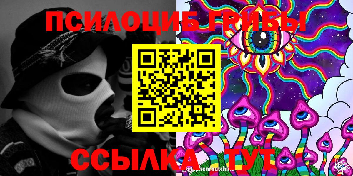 Десногорск  Псилоцибиновые грибы Cubensis  Вход с VPN 
